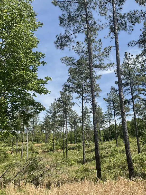 0 Saddleback Drive,  Dover,  TN 37058