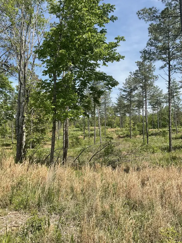 0 Saddleback Drive, Dover, TN 37058