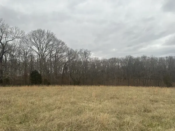 1 Myatt Loop, Burns, TN 37029