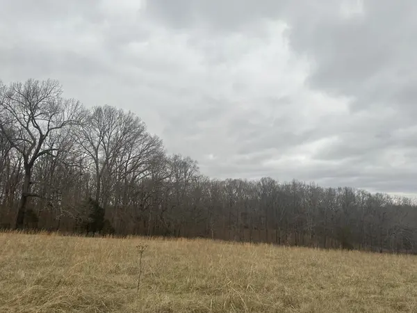 1 Myatt Loop, Burns, TN 37029