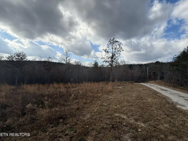0 6.25 Acres Valerie Drive, Deer Lodge, TN 37726
