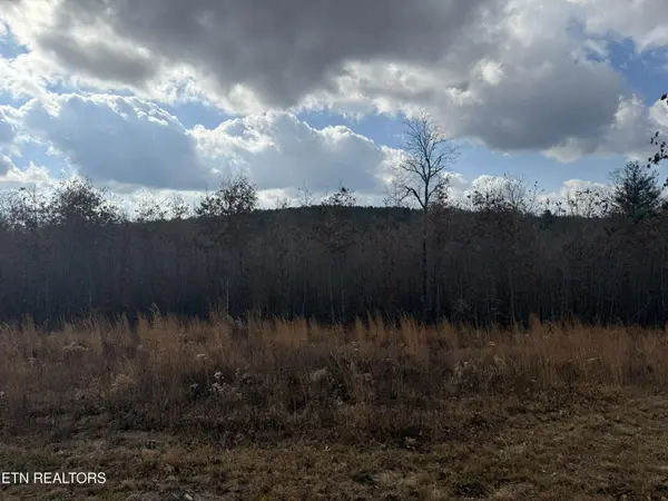 0 6.25 Acres Valerie Drive, Deer Lodge, TN 37726