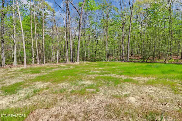 133 Jay Loop, Jamestown, TN 38556
