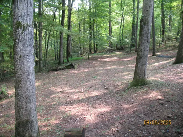 1555 Brown Creek Dr, Crossville, TN 38571