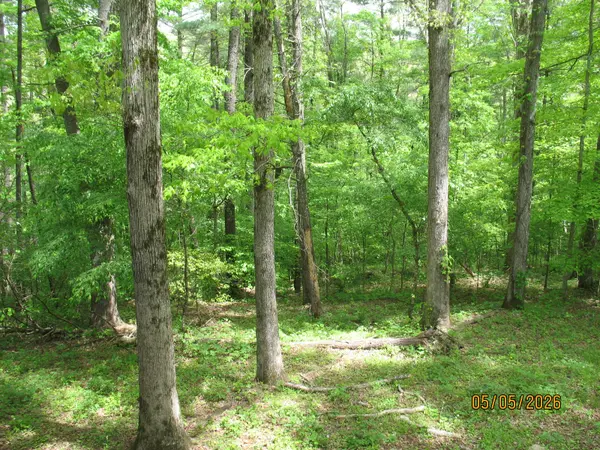 1555 Brown Creek Dr, Crossville, TN 38571