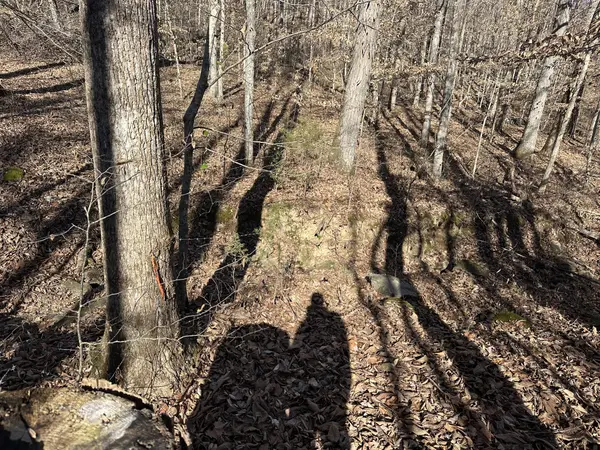 0 Whites Cave Rd, Sparta, TN 38583