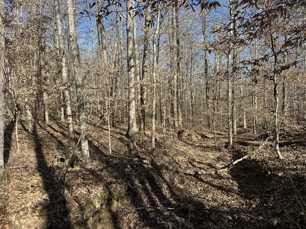 0 Whites Cave Rd, Sparta, TN 38583