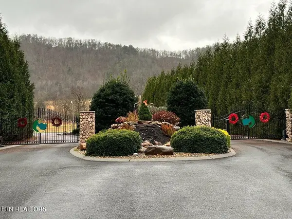 133 River Rapids Way, Del Rio, TN 37727