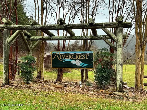 133 River Rapids Way, Del Rio, TN 37727