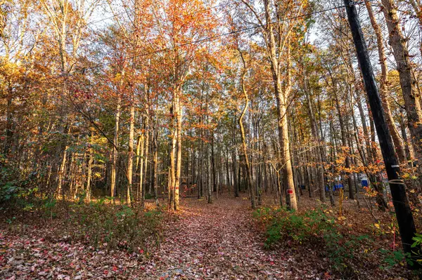 2272 Little Bend Road, Signal Mountain, TN 37377