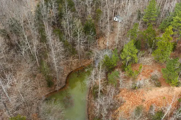 0 Tracy Ln, Duck River, TN 38454