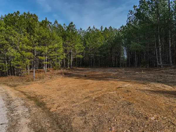 0 Brush Creek Rd, Hohenwald, TN 38462