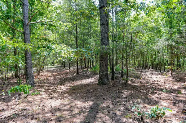 0 Brush Creek Rd, Hohenwald, TN 38462