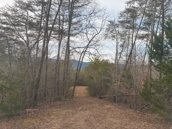 1133 Macedonia Martin Gap Rd, Englewood, TN 37329