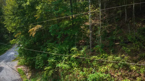 0 Stepping Stone Drive, Sevierville, TN 37862
