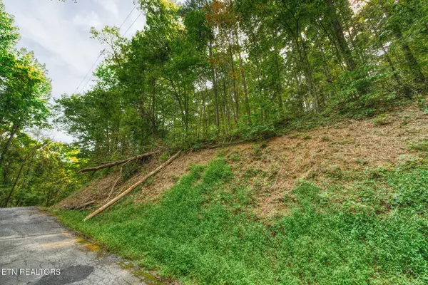 0 Stepping Stone Drive, Sevierville, TN 37862