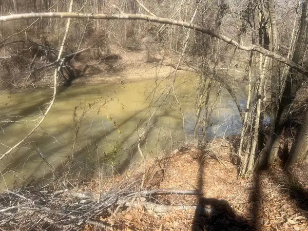 35 TOWBOAT LN, Adamsville, TN 38310