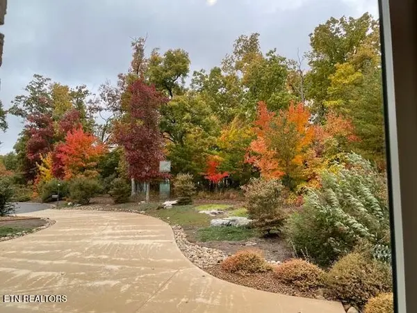 61 Bluff View Court, Crossville, TN 38558