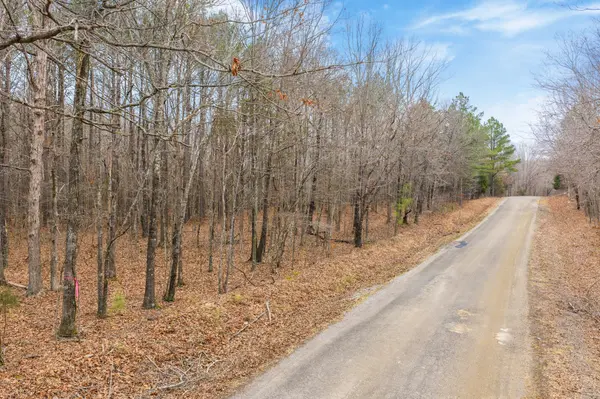 0 Coxburg Rd S, Holladay, TN 38341