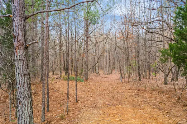 0 Coxburg Rd S, Holladay, TN 38341