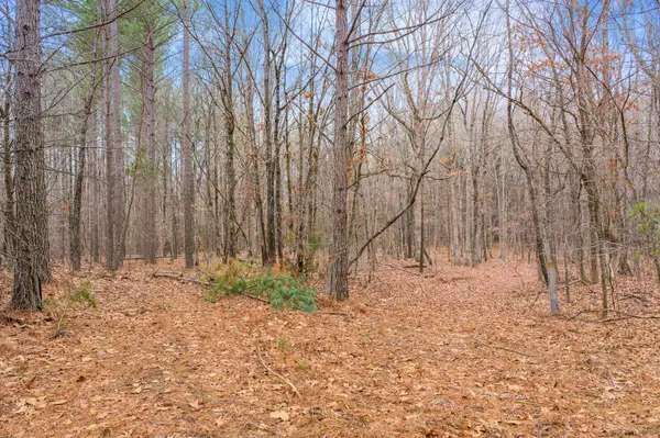 0 Coxburg Rd S, Holladay, TN 38341