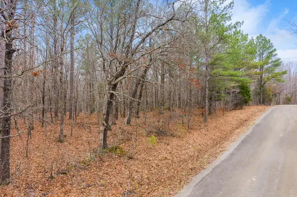 0 Coxburg Rd S, Holladay, TN 38341