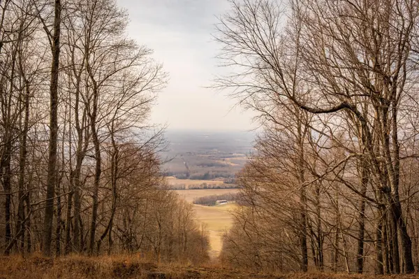 0 Deer Run Road, Altamont, TN 37301