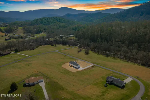 680 Kaylees Loop, Del Rio, TN 37727
