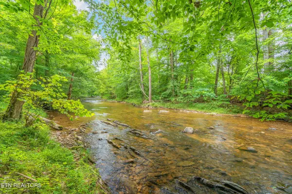 680 Kaylees Loop, Del Rio, TN 37727
