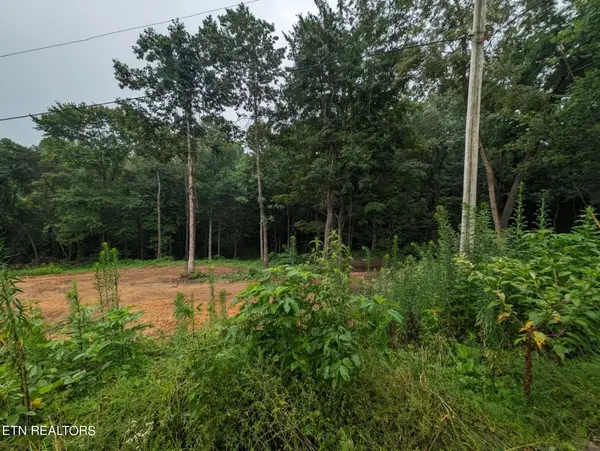 248 N Norris St, Jamestown, TN 38556