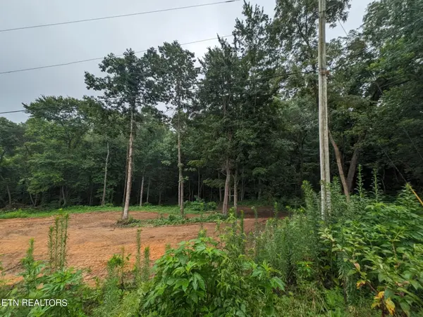 248 N Norris St, Jamestown, TN 38556