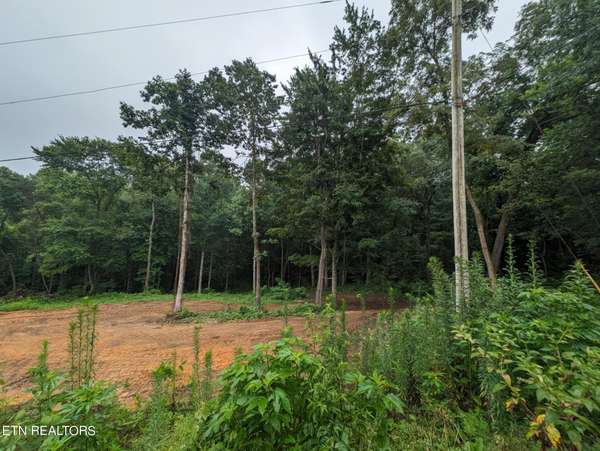 248 N Norris St, Jamestown, TN 38556