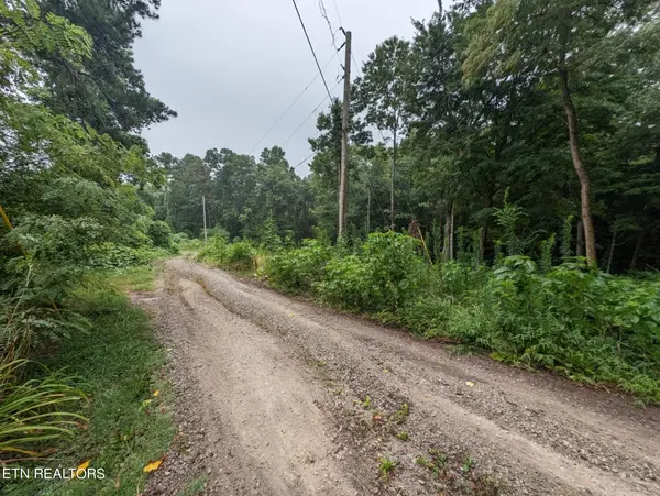 248 N Norris St, Jamestown, TN 38556