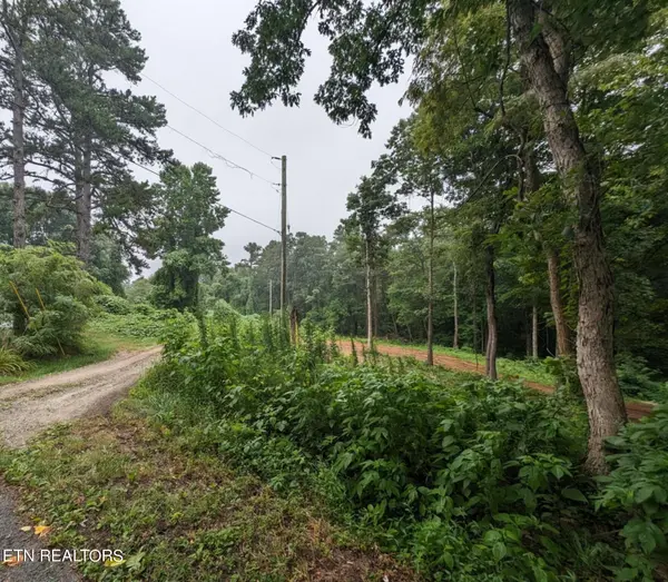 248 N Norris St, Jamestown, TN 38556