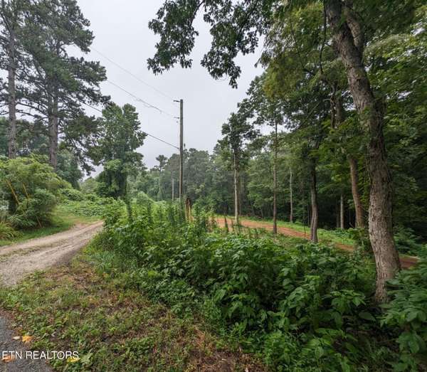 248 N Norris St, Jamestown, TN 38556