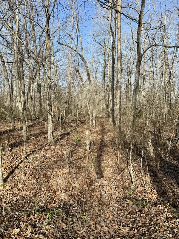 101 Antietam Rd, Beechgrove, TN 37018