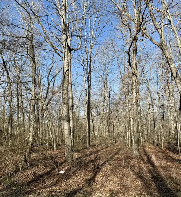 0 Antietam Rd, Beechgrove, TN 37018