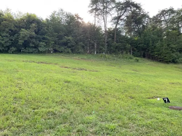 154 Brighton Pl, Bristol, TN 37620