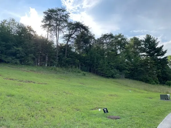 154 Brighton Pl, Bristol, TN 37620