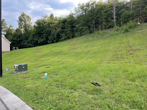 150 Brighton Pl, Bristol, TN 37620