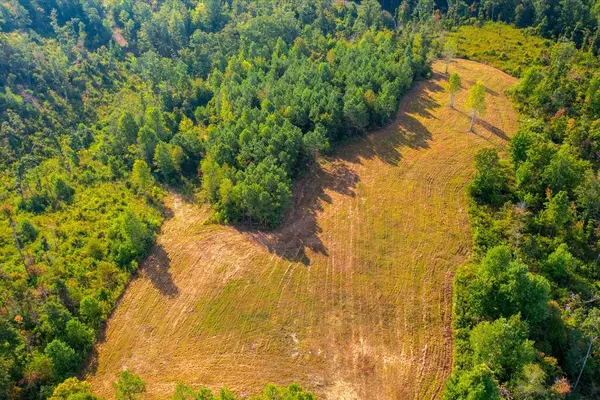 0 Kro Hollow Rd, Hohenwald, TN 38462