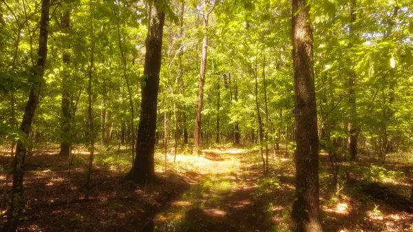 1188 Timberwood Trce, Monteagle, TN 37356
