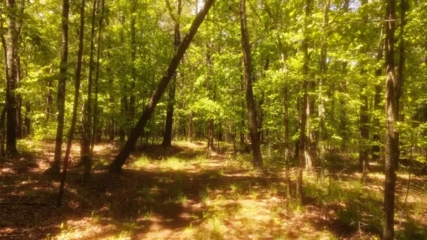 1188 Timberwood Trce, Monteagle, TN 37356