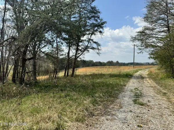 0 Knox Lane, Crab Orchard, TN 37723