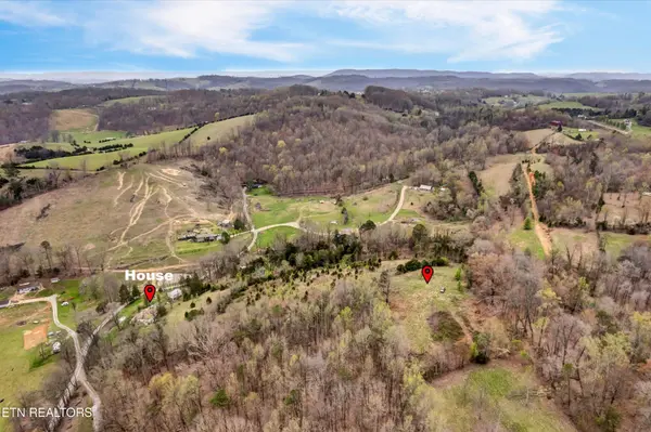 290 Maddox Lane, New Tazewell, TN 37825