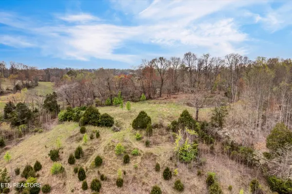 290 Maddox Lane, New Tazewell, TN 37825