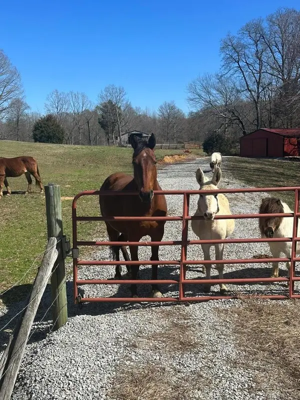 1486 Cedar Grove Rd, Big Sandy, TN 38221