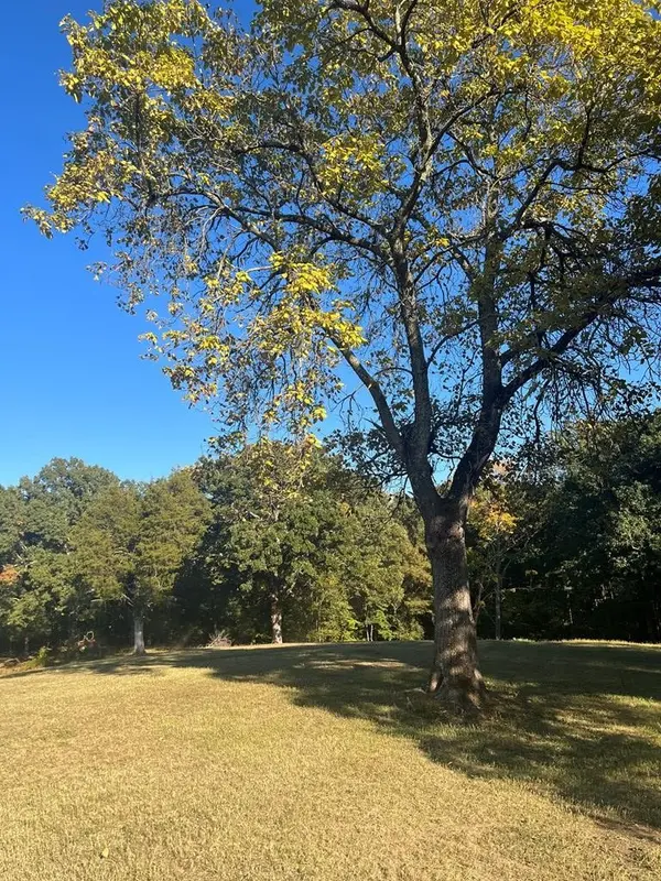 1486 Cedar Grove Rd, Big Sandy, TN 38221