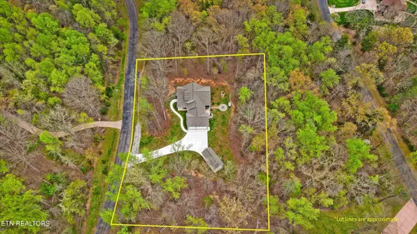 166 E Shore Drive, Rockwood, TN 37854