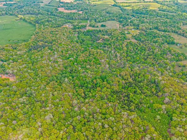 208 Tomsic Rd, Indian Mound, TN 37079